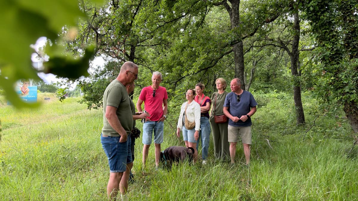 Truffle Hunting Poreč