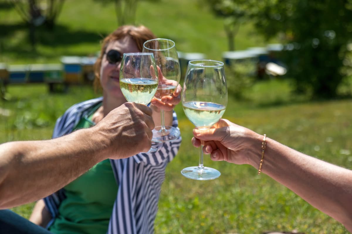 Honey Tasting & Bee Park Experience in Istria