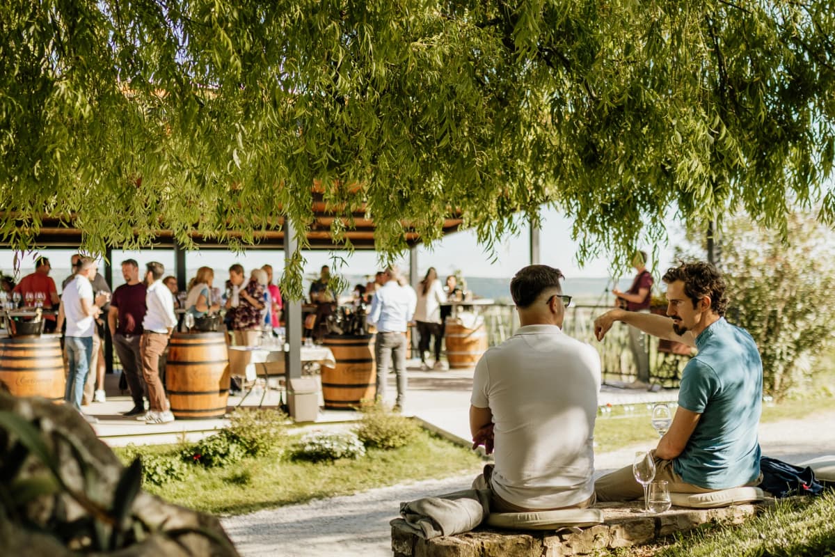 Discover Istria`s 4 Soils: Malvazija Wine Tasting at Cattunar